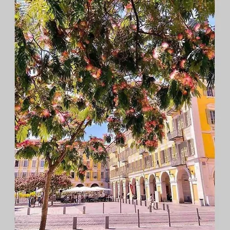 Lägenhet Idealement Situe Vieux Nice Neuf Calme Climatise